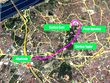 Altunizade-Çamlıca metrosunun ÇED süreci başladı