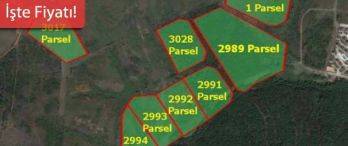 Yapı Kredi Koray Gayrimenkul Riva Arsasını Satışa Çıkarıyor