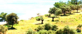 Çökertme Koyu Davasını Çevreciler Kazandı 