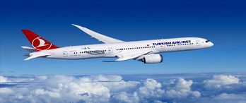 THY, gayrimenkul yatırım hizmetleri şirketi kurdu