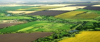 Salihli Belediyesi'nden Satılık Tarım Arazisi ve Arsa