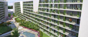 Dumankaya Flex Kurtköy’de Yüzde 10 İndirim