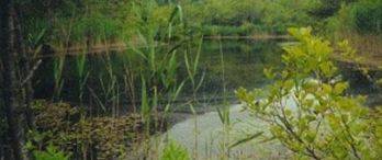 Çatalca Hisarbeyli Petrol Ofisi’ne İzin Çıktı