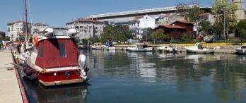 Kurbağalıdere'de Yaşam Başladı