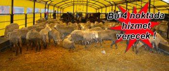 İBB Kurban Satış ve Kesim Yerleri Belirlendi!