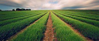 2,5 Milyon Futbol Sahası Kadar Tarım Arazisi İmara Açıldı