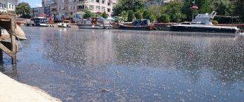 Kadıköylülerin Eziyeti Cuma Günü Sona Eriyor