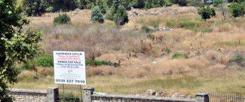 Yalova Kent Konseyi ‘Arboretum’a Konut İstemiyor!