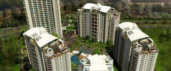 Nuvo Dragos Sabiha Gökçen’e 15 Dakika