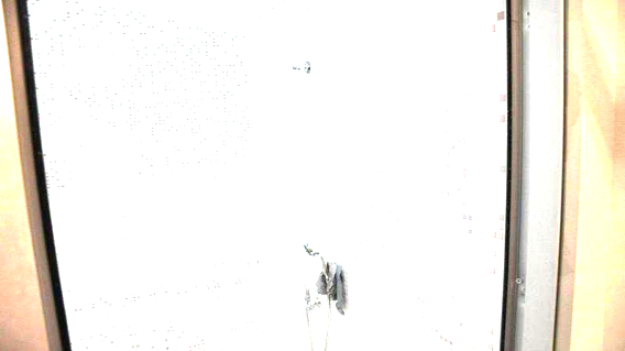 Bekaş Residence Bekaş Residence