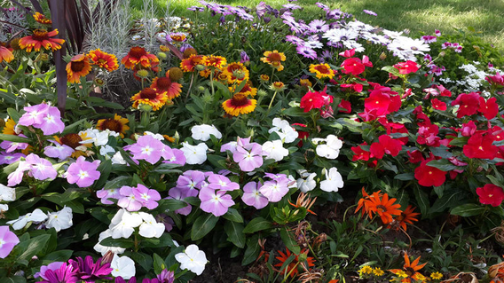 Alita Marin Konakları Alita Marin Konakları