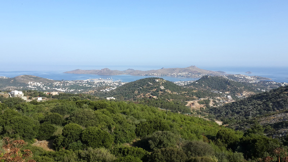 Alita Marin Konakları Alita Marin Konakları