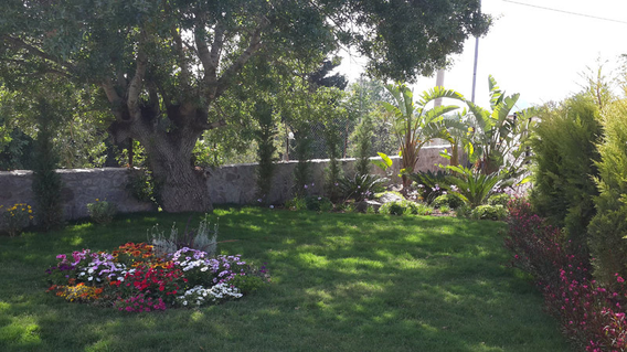 Alita Marin Konakları Alita Marin Konakları