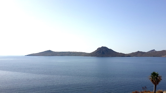 Alita Marin Konakları Alita Marin Konakları