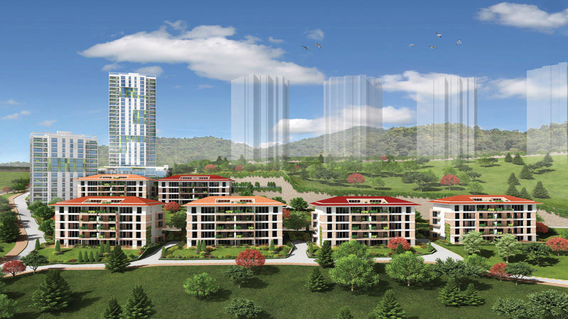 Fuaye Turkuaz Fuaye Turkuaz