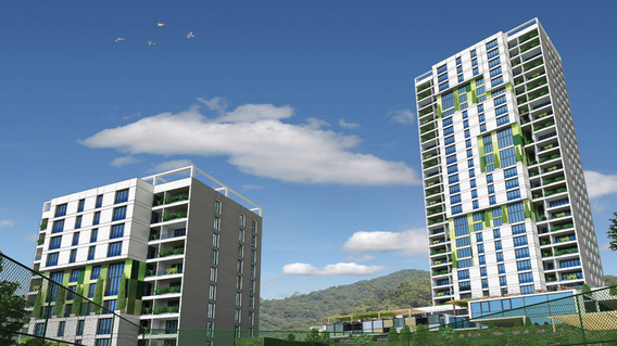 Fuaye Turkuaz Fuaye Turkuaz