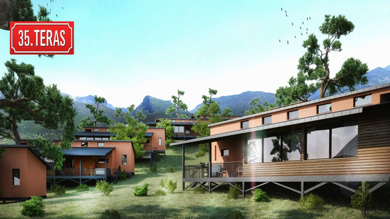 35. Teras