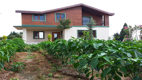 Naturalm Çiftlik Evleri Naturalm Çiftlik Evleri