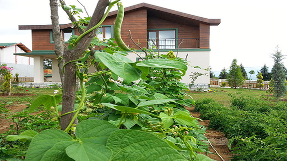 Naturalm Çiftlik Evleri Naturalm Çiftlik Evleri