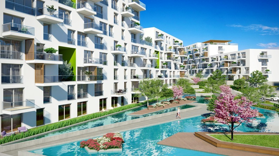 Adres Natura Adres Natura