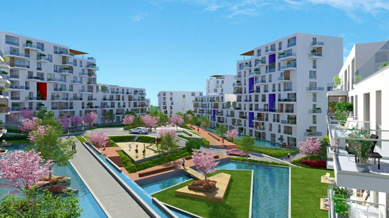 Adres Natura Adres Natura