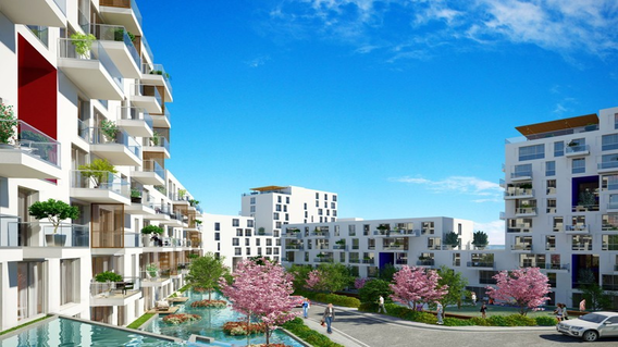 Adres Natura Adres Natura