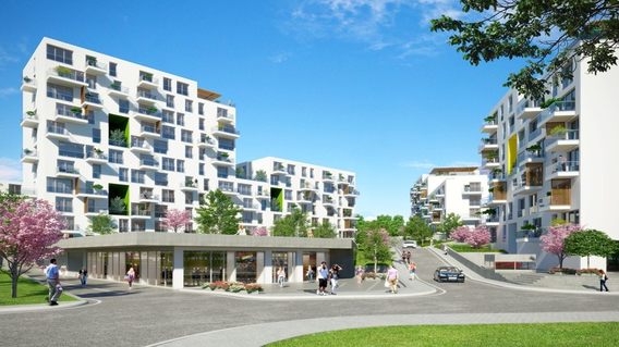 Adres Natura Adres Natura