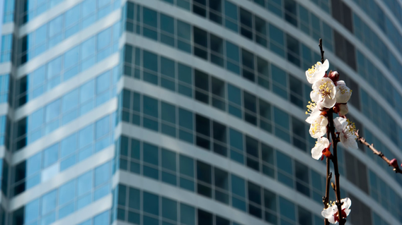 Four Winds Residence