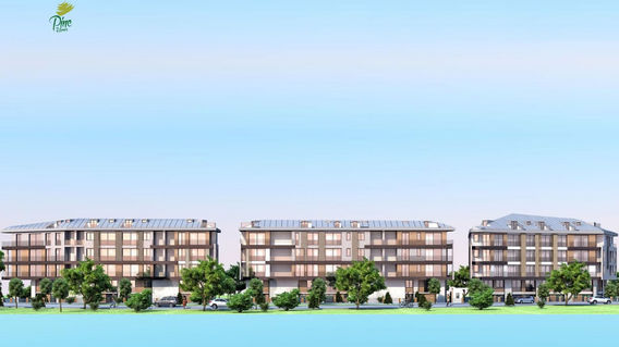 Pine Homes Pine Homes