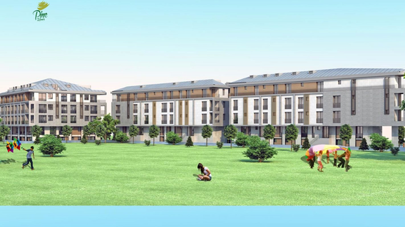 Pine Homes Pine Homes