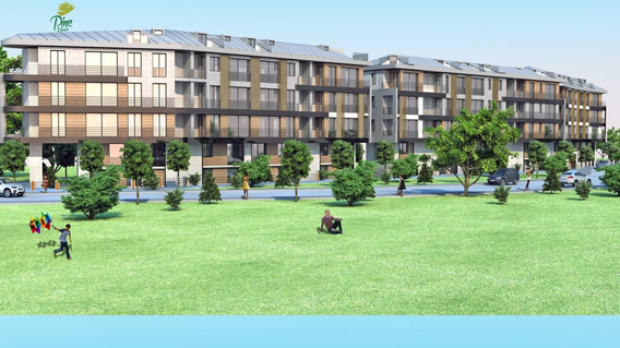 Pine Homes Pine Homes