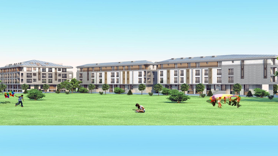 Pine Homes Pine Homes