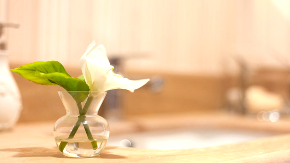 Nata Vega Konut Kuleleri Nata Vega Konut Kuleleri