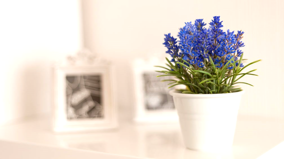 Nata Vega Konut Kuleleri Nata Vega Konut Kuleleri