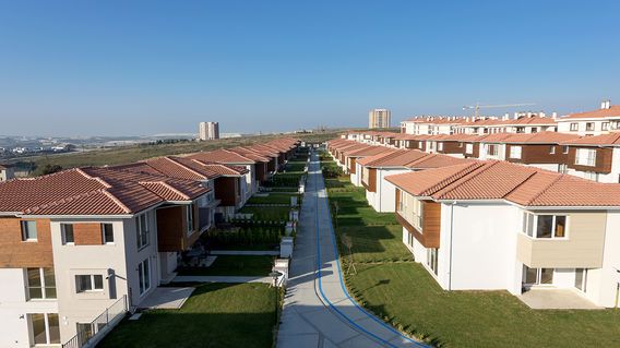 Dekar Asmalı Sokaklar