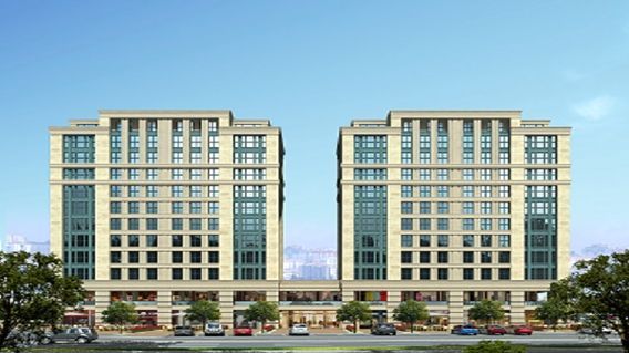 Zin D Diamond Zin D Diamond