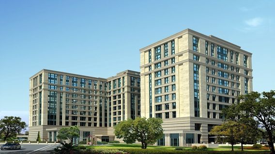 Zin D Diamond Zin D Diamond