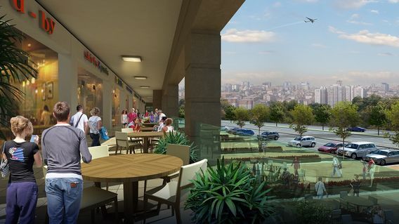 Zin D Diamond Zin D Diamond