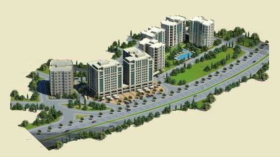 Zin D Diamond Zin D Diamond