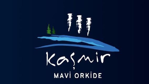 Kaşmir Mavi Orkide 
