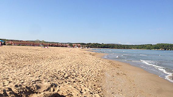 Alkan Flora Kumcağız