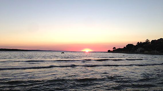 Alkan Flora Kumcağız