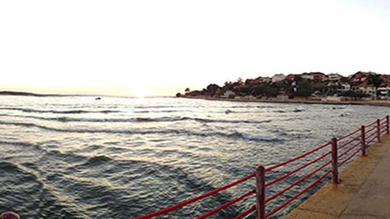 Alkan Flora Kumcağız