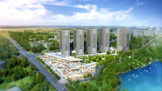 Kaşmir Yonca Ankara