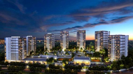 Kaşmir Yonca Ankara