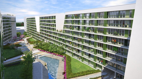 Dumankaya Flex Kurtköy