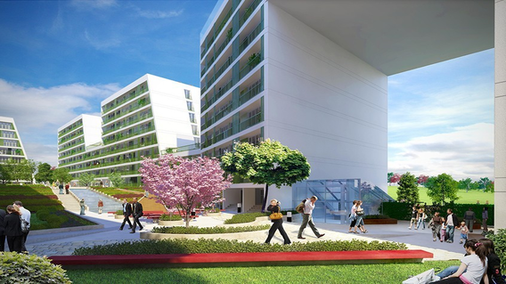 Dumankaya Flex Kurtköy