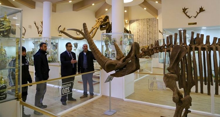 Türkiye'nin İlk Zooloji ve Doğa Müzesi Gaziantep'te Açılıyor!
