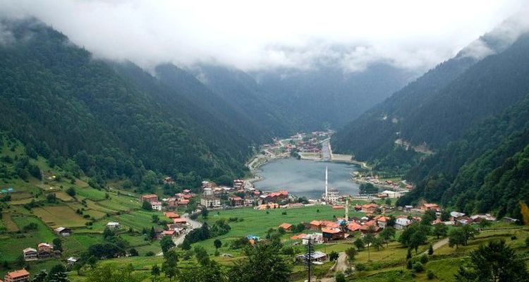 Ayder Yaylası'nda Tek Yetkili Toki Oldu!