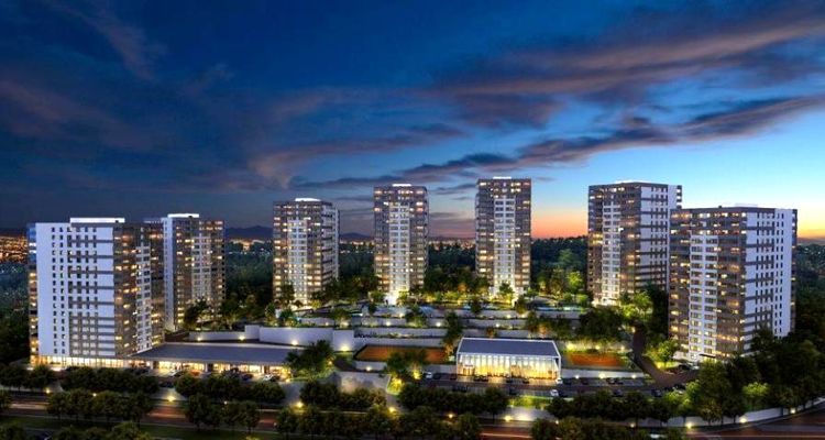 Kaşmir Yonca Ankara Ön Talep Topluyor!